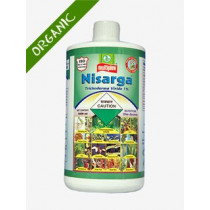 Nisarga