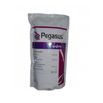 Pegasus